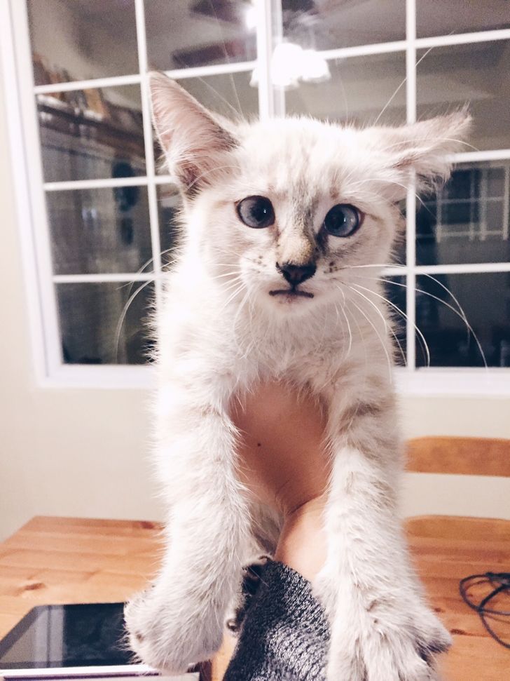 8a1ab95fc088ae429dcbb558e5