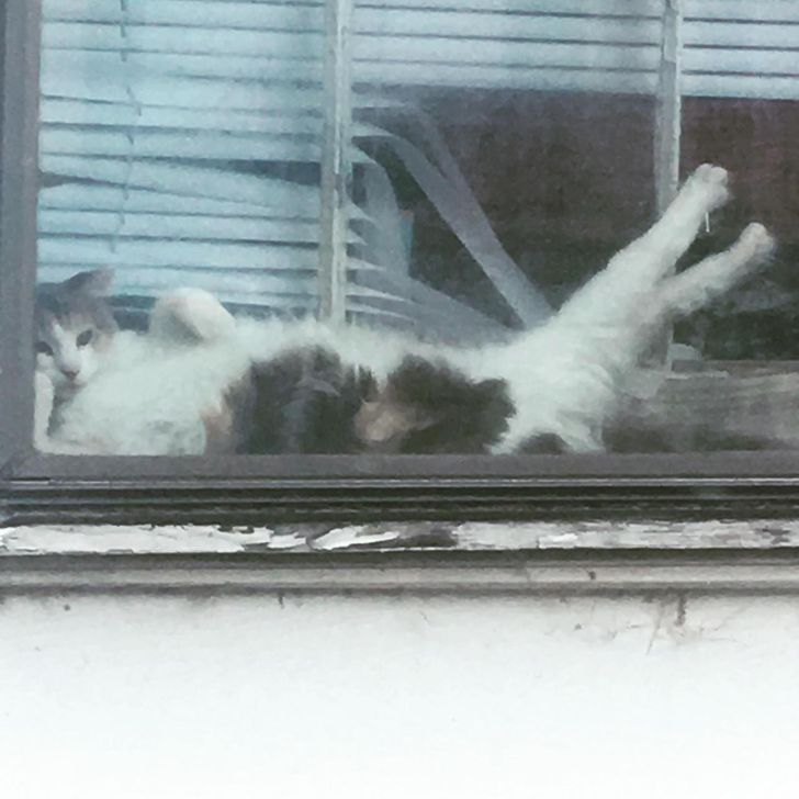 8a1afa533da9ddde45cfacf946