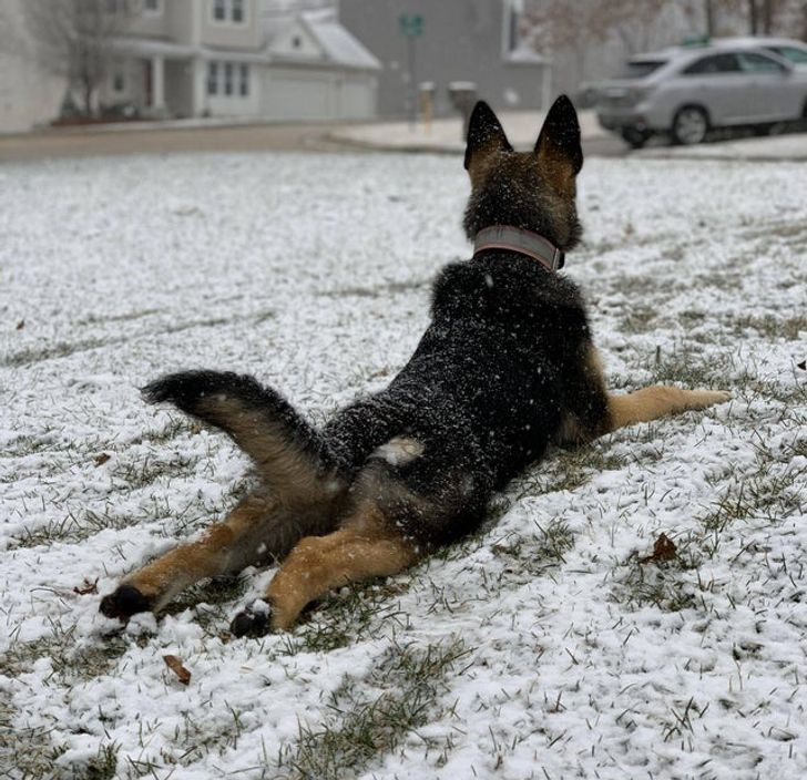 8a1b085690896b34a34353f17a