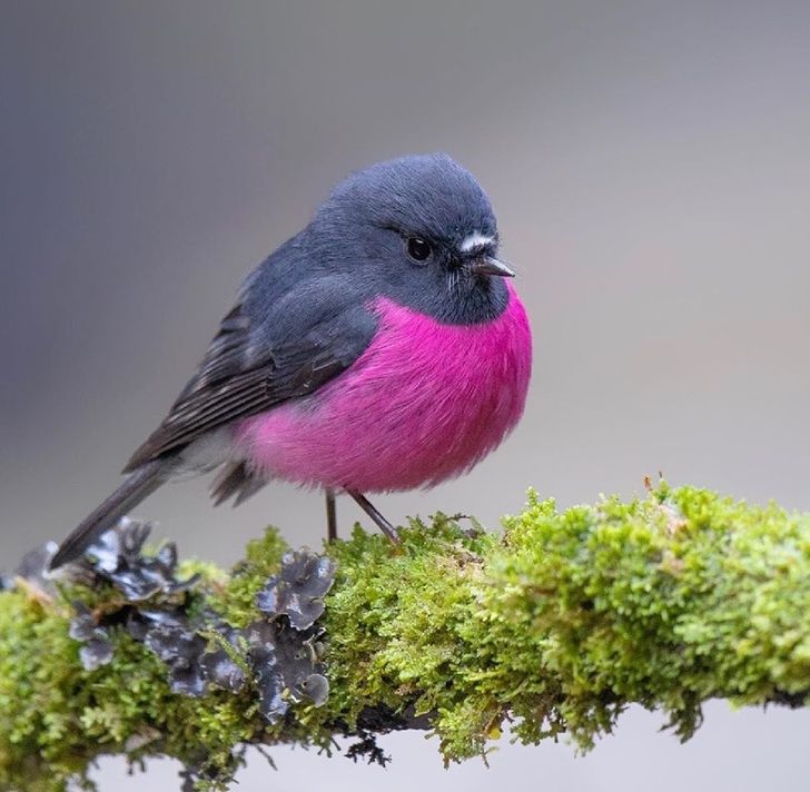 8a20e752308ef57553f5c8a6c5