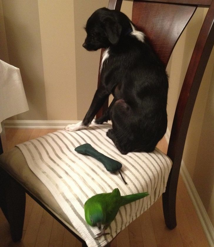 8a2599565fa8bfc92a7d839c03