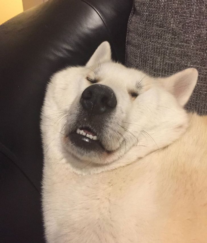 8a2eca50ccb2a22b7857ca7744