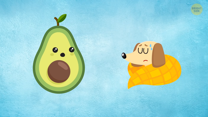 8a3c775e2e9be51fd941dc0583