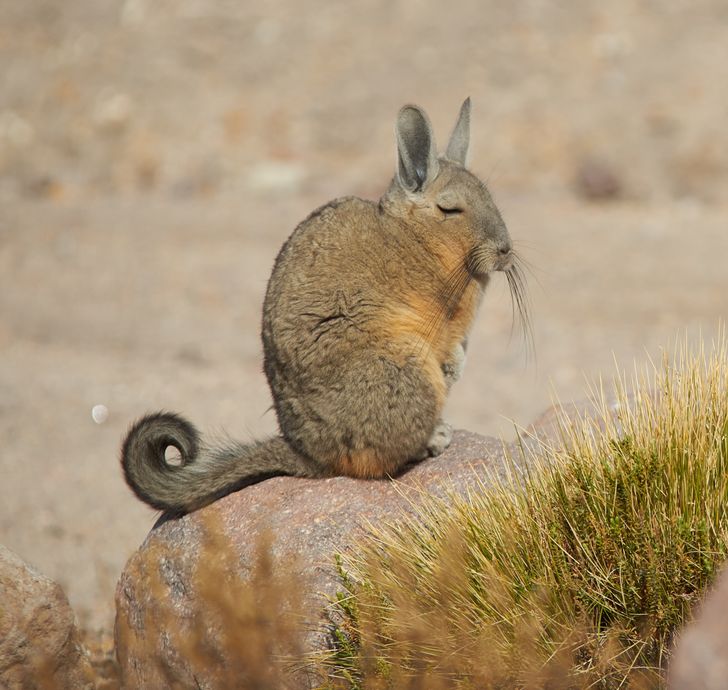 8a3fbc599aa850024d9d1f0050