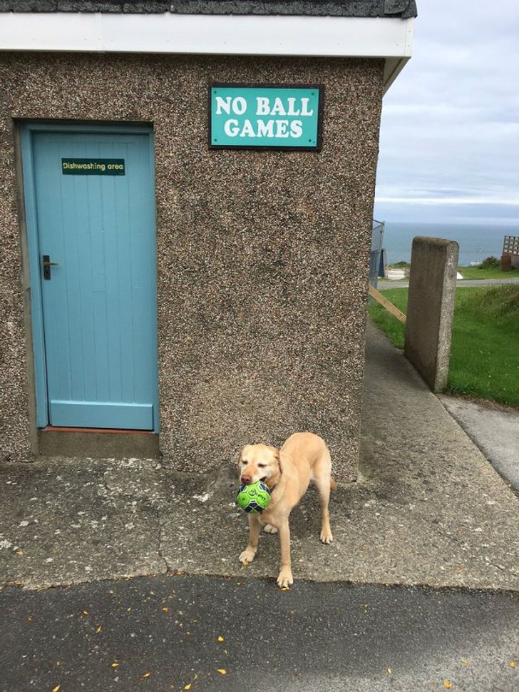 8a429d592ebc4765d30a28dce6