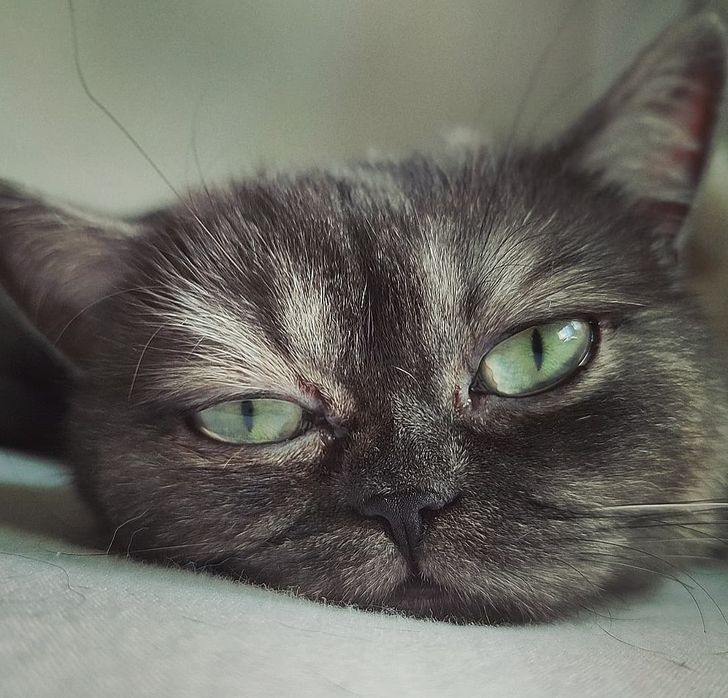 8a42fd5d448f53326dc252d2df