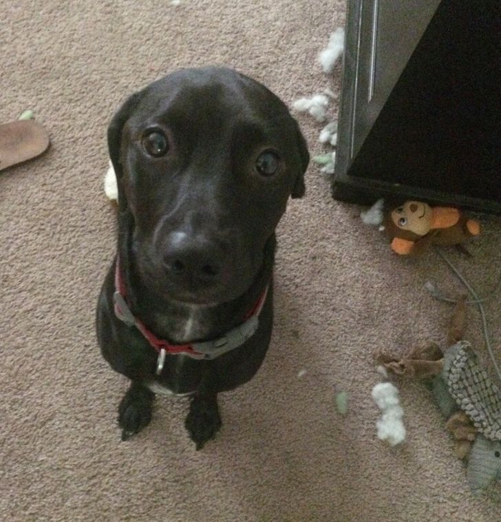 8a4c8d5bf2bfa429cb7abbd86d