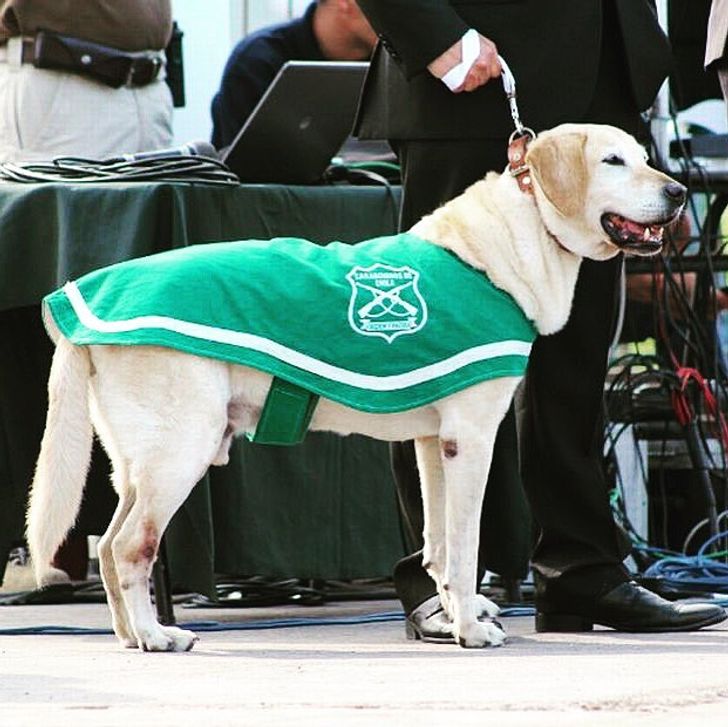 8a4ec550e4837b5c310084b162