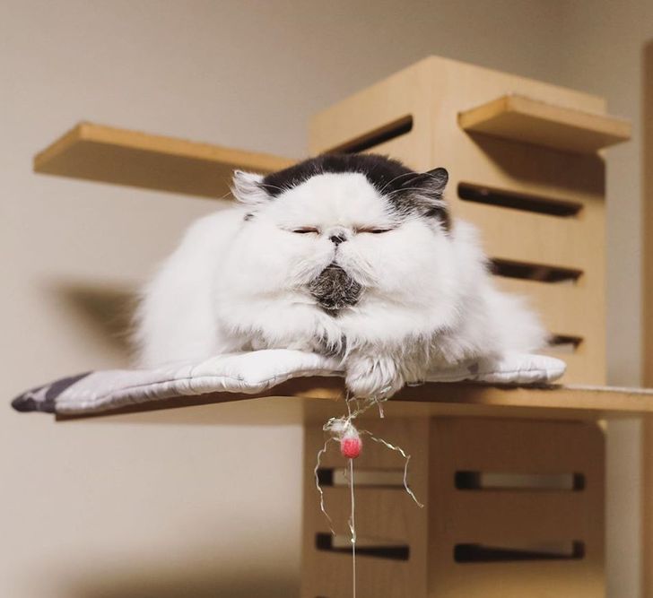 8a4f3f579d8906371d6638ecde