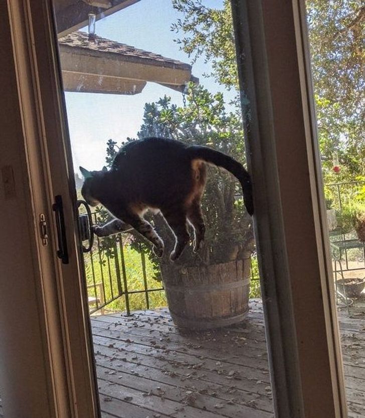 8a4f9b5739ae944e051dcb89d8