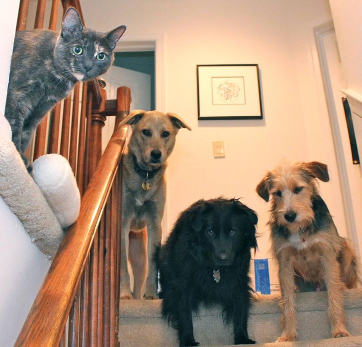 8a5a02511c996c2f26337c8d08