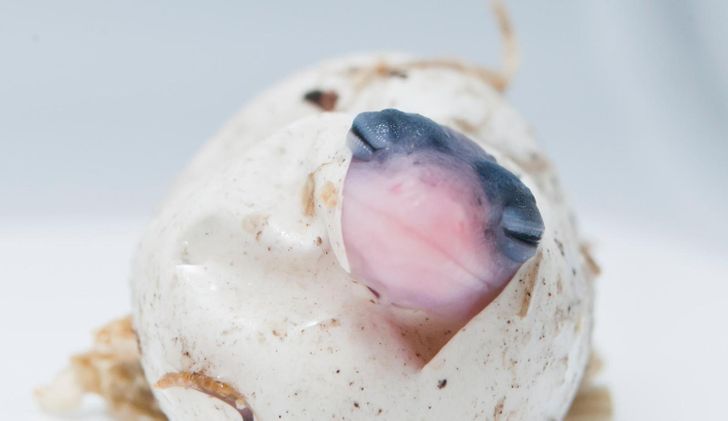 8a6115567fa01fdc8713024ba4