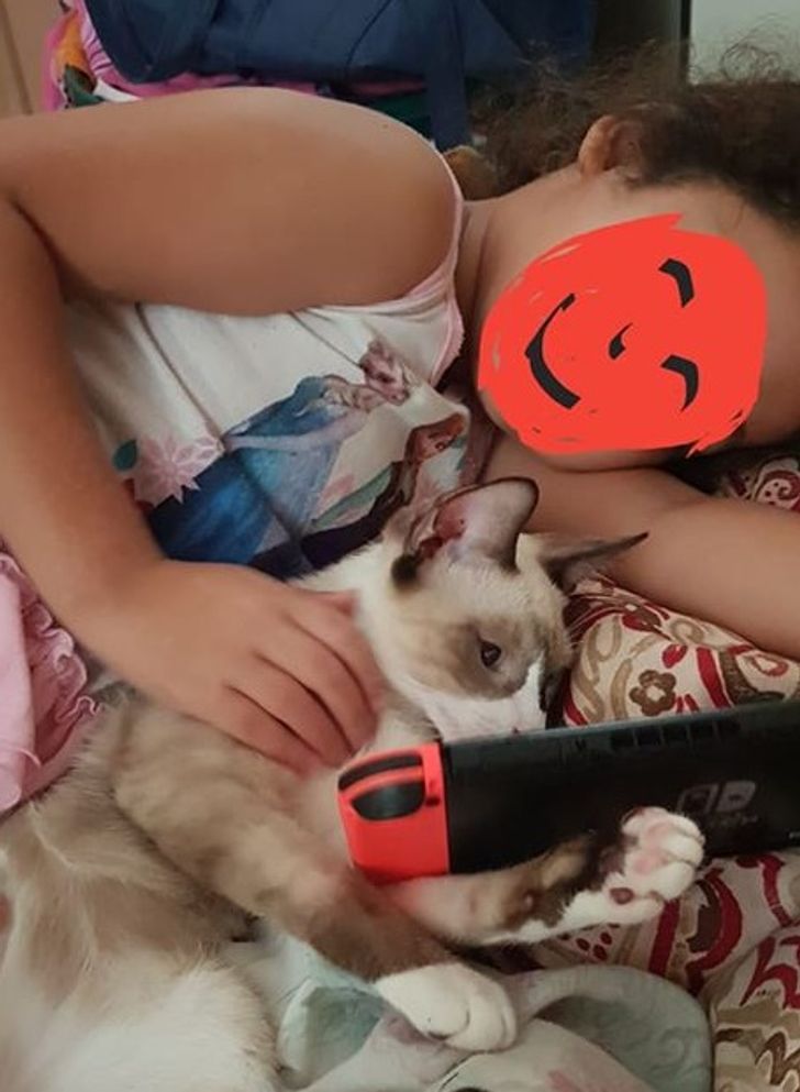 8a689657fbab8951d3aceb3db5