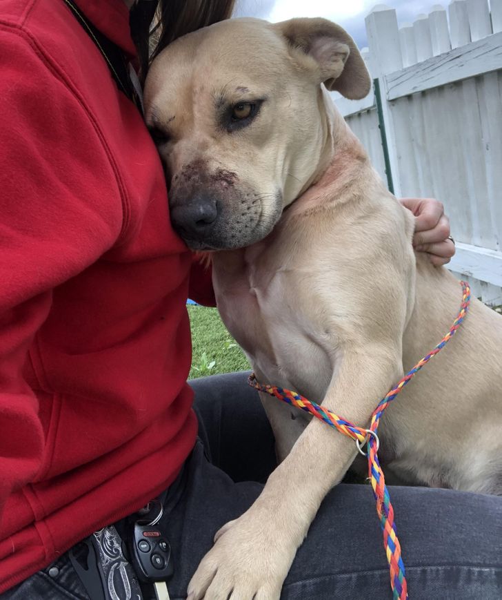 8a6d055512bd99e398589c1fc4