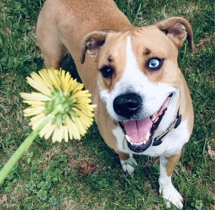 8a71a95eab9149fe2053fb5a64