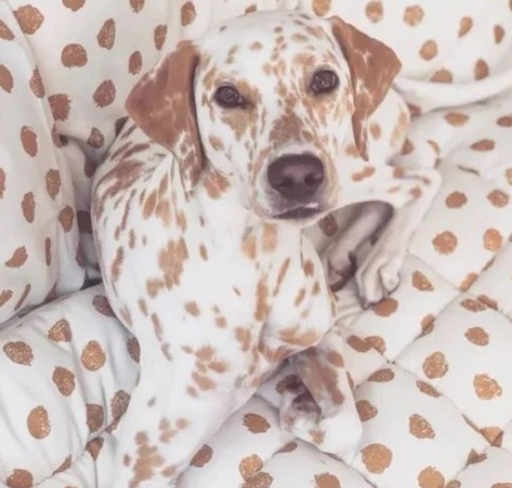 8a720356a7858b2dc32bf82cf2