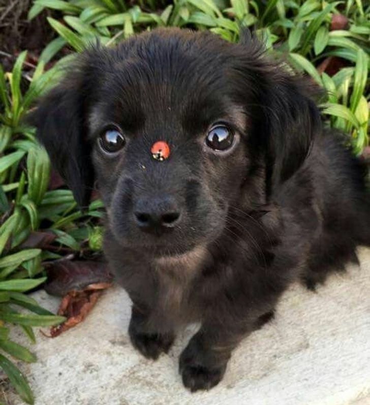 8a73525d4e8aff4e0608a30c5c