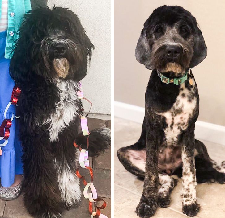 8a77ab504ebb90da598f50833c