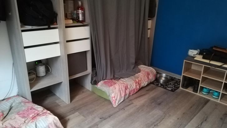 8a834f529bbaf106b1980d83ad