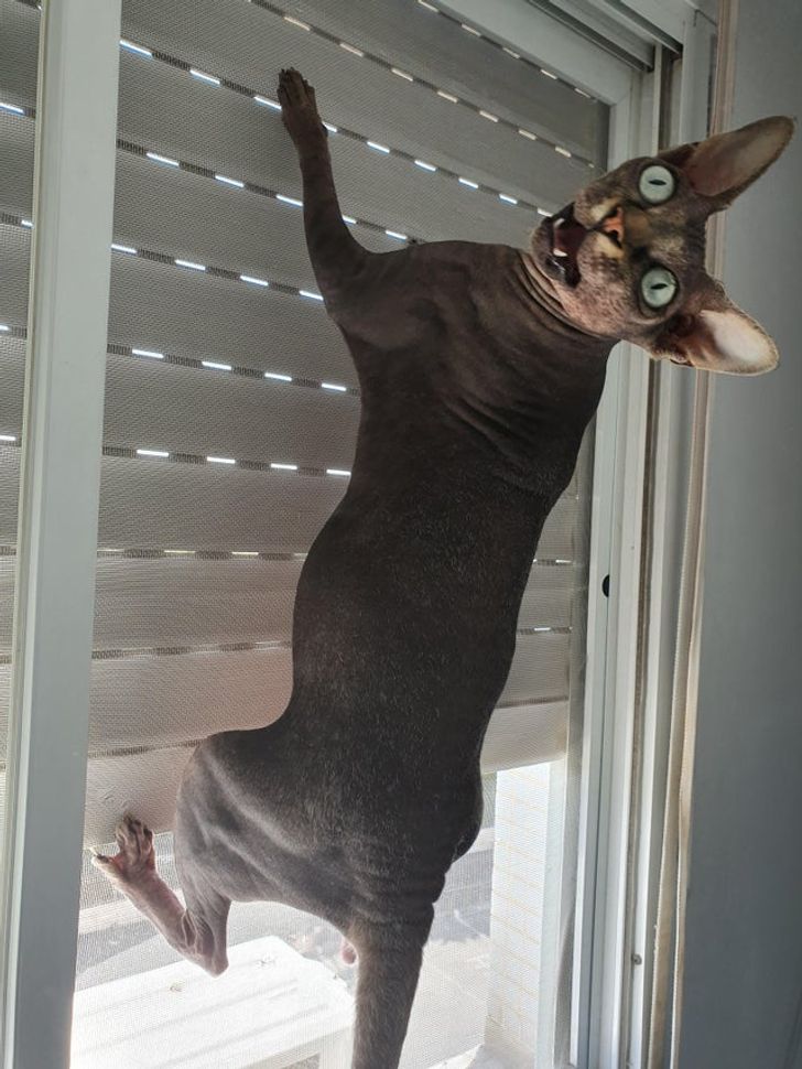 8a885753ca8b1dd26c15b36898