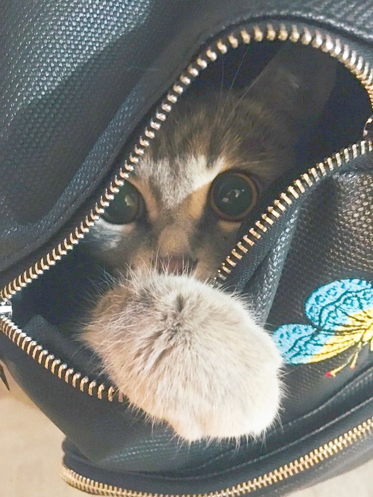 8a92ad540998f1eee03d8f3d47