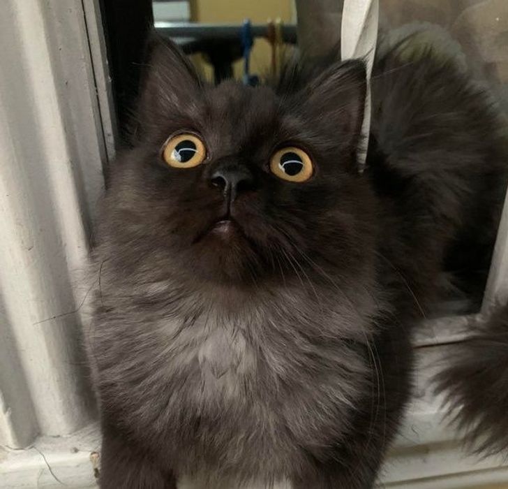 8a9bd052099b956f0b22900432