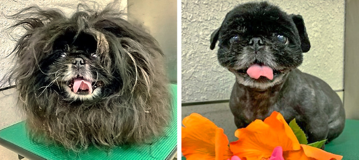 8a9c5459bc8cf12a56199c8df5