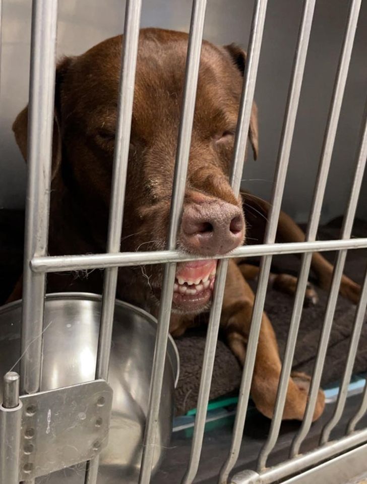 8a9d7b5e659be941e3d5af85ce