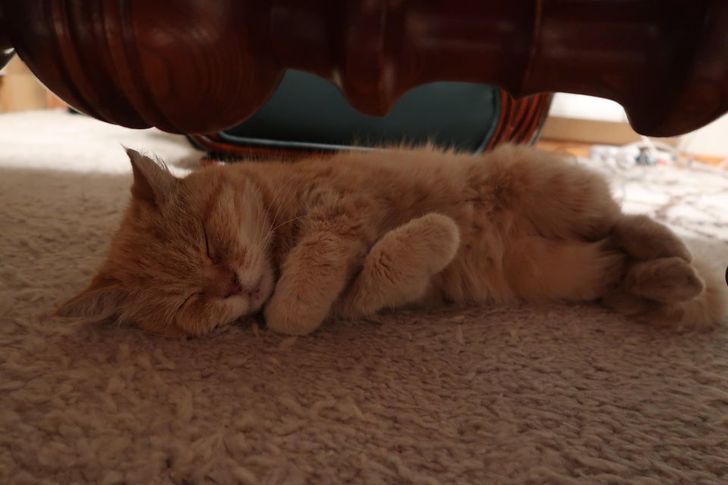 8aac245940a753ac5810469a97