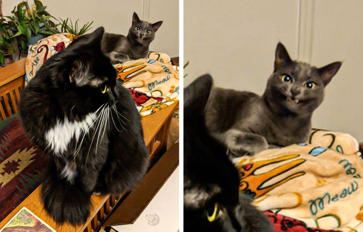 8aad675622a0ee62379eb38100