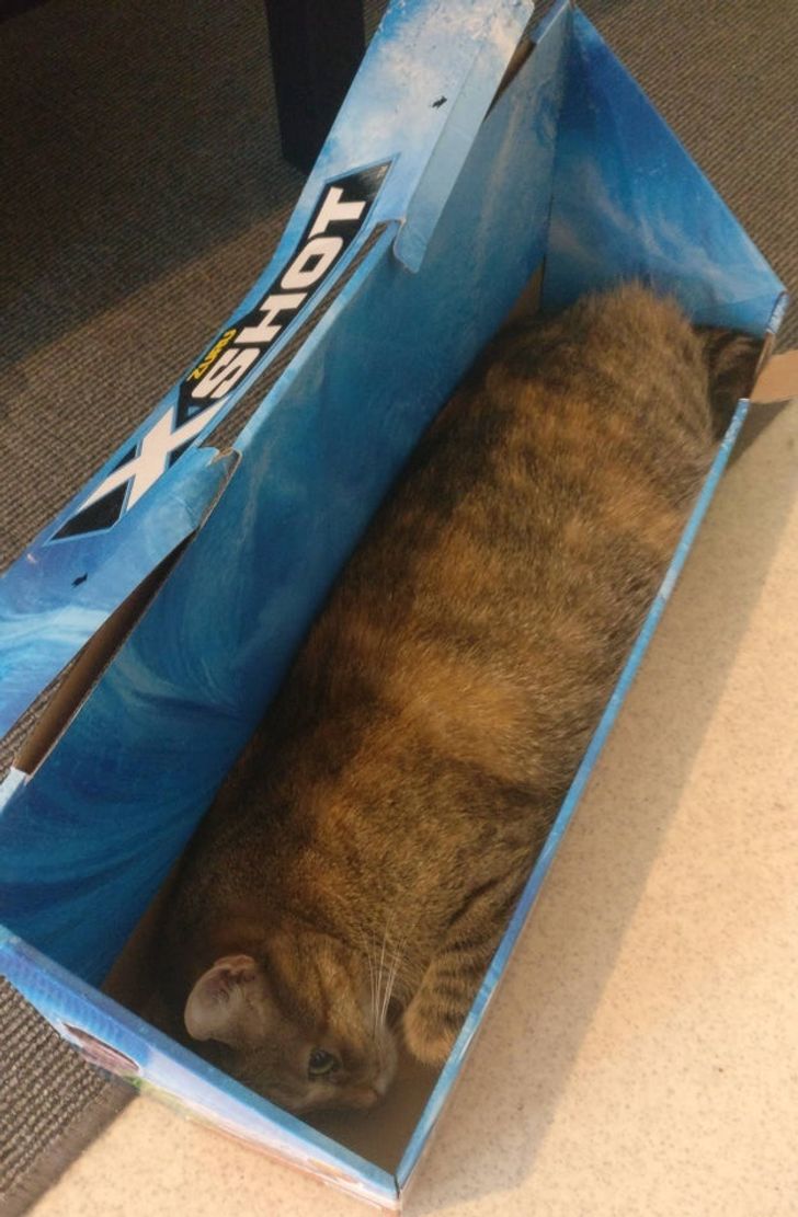 8ab56553698c943efa0d07303c