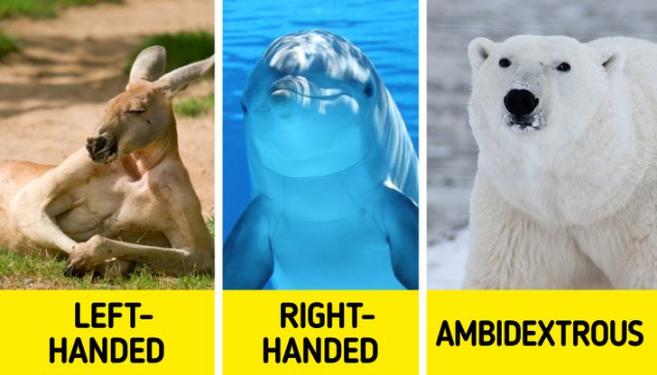 8ab5c95f6d8177fccaec77af8c