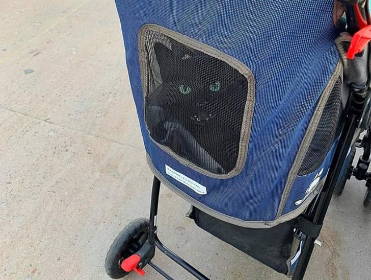 8ab9ef530c88d4c38074f836dd