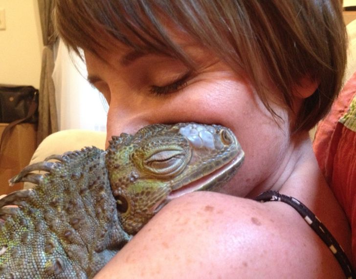 8ac49c5cfb8293de1972b15d81