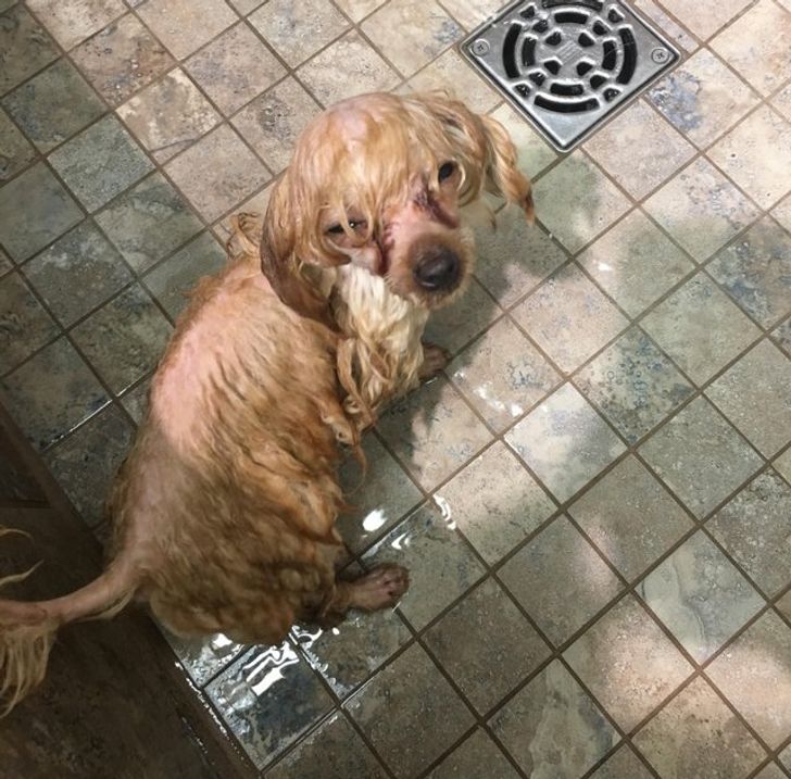 8accc45123b2202c373ffcbeec