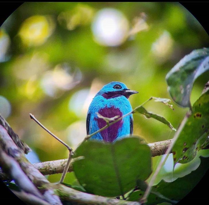 8ad2915498b46df352203fccf0