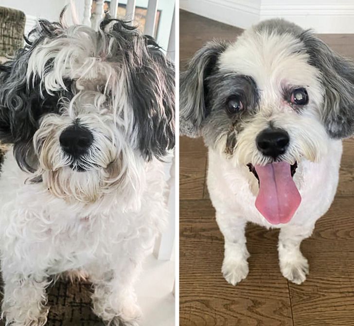 8adfaf58fa9d85ad4309640396