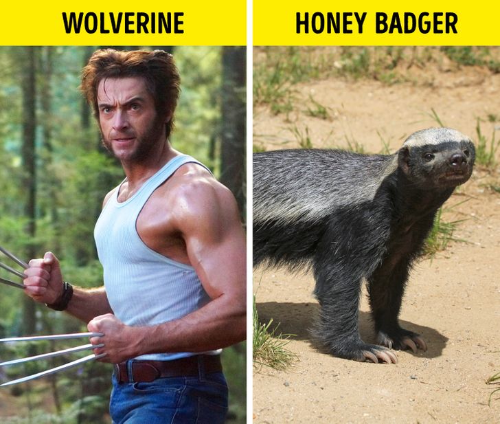 8ae229559a9b126f73da60fb2c