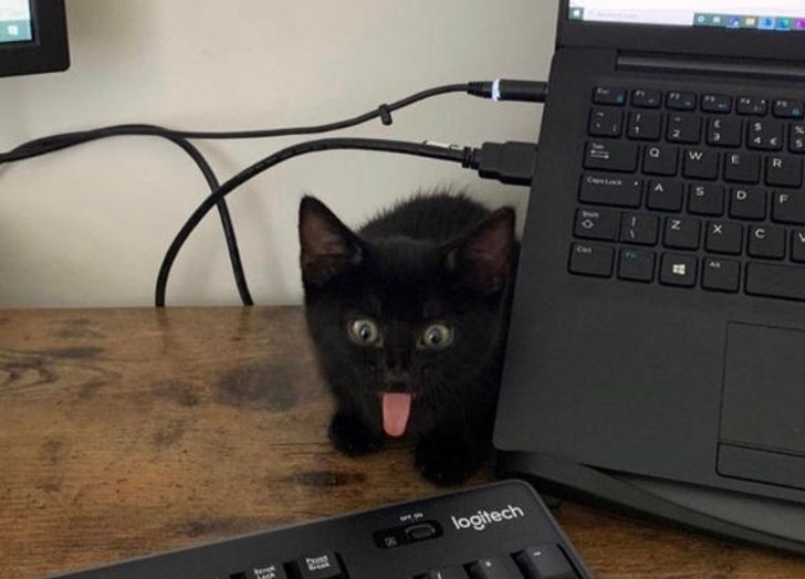 8aed1c5a6d9eae845ac9834a45