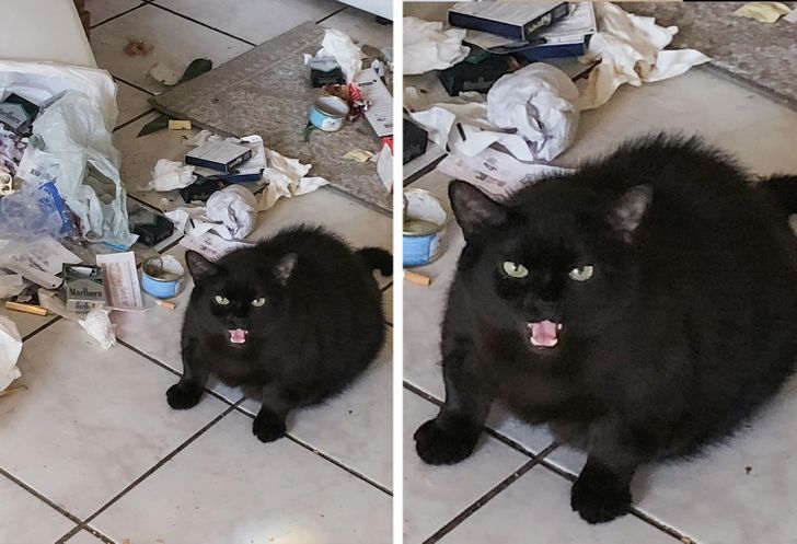 8af14c5591bb415f69c354f28d