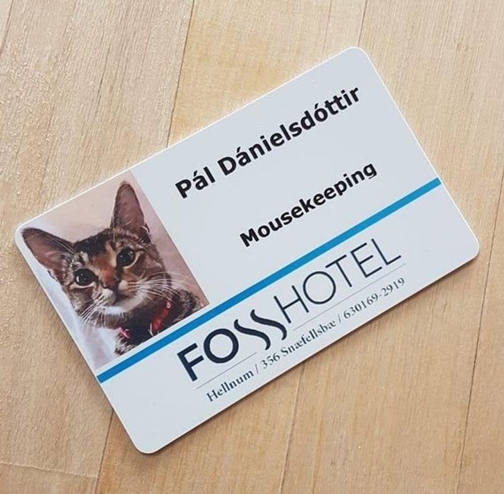 8af90c50448e1cb5b8a145eae5