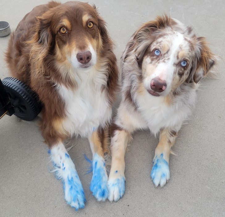 8af9bd599da533a6f48517e80d