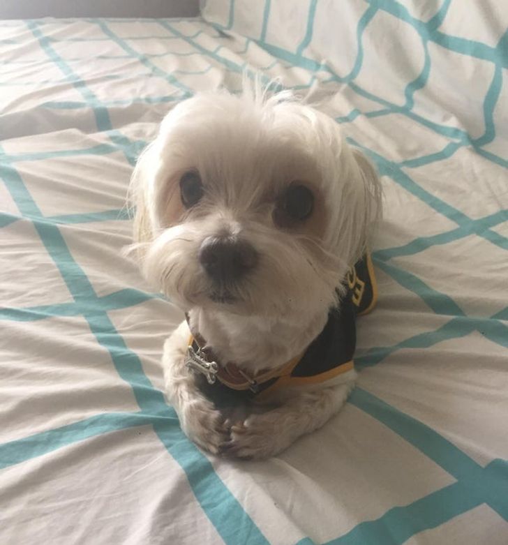 8afb4d5f6e935589d68625bfad