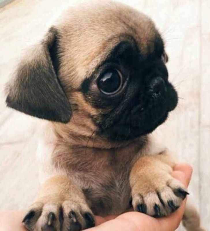 8b040a54d88e275dfd8af36768