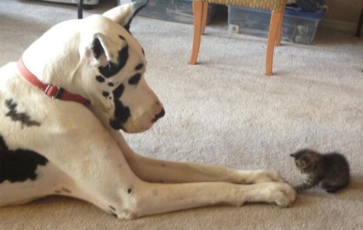 8b073851128bbb16199f9bdd2e