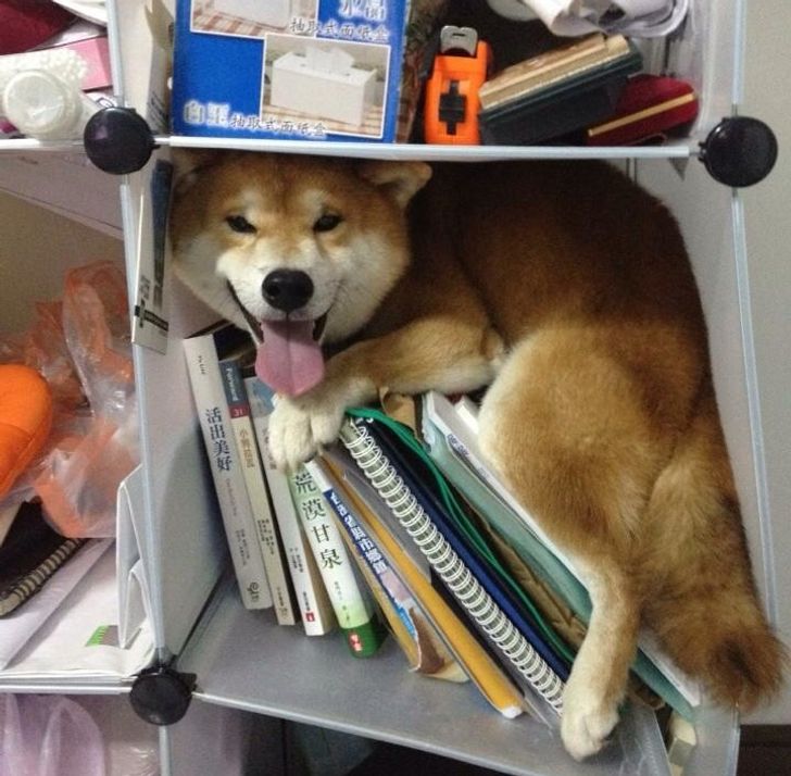 8b140e5bc39b21413f242441a9