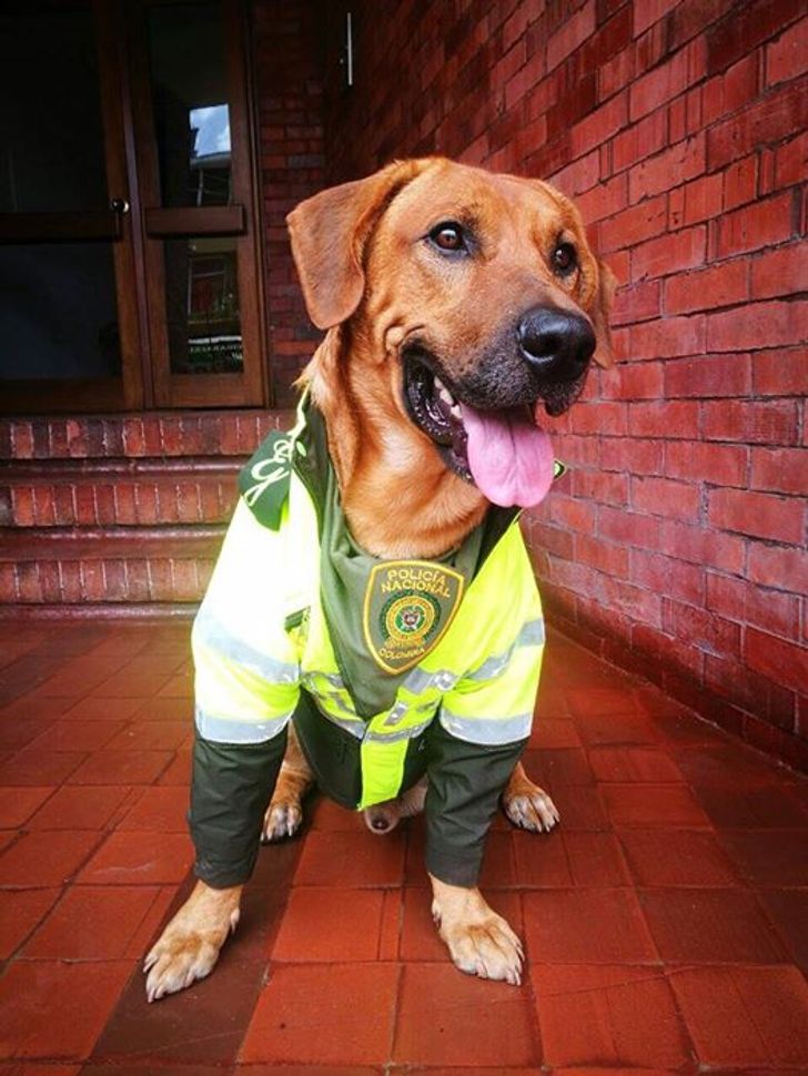 8b1ab157c6bc1141edfae50ade