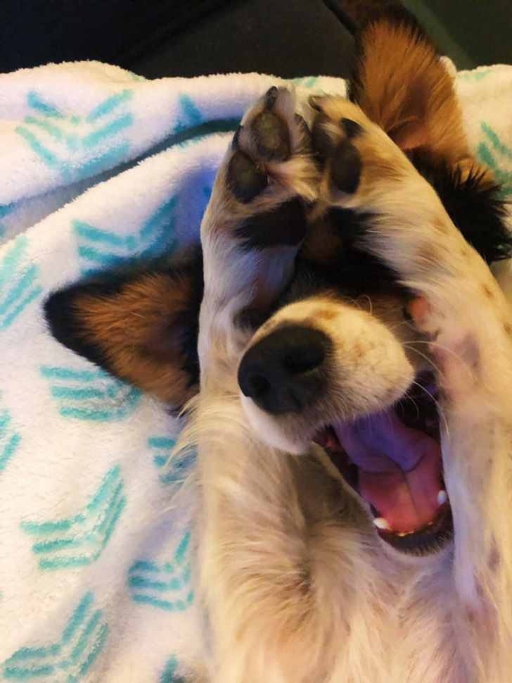 8b1ed55be196082f829d948f71