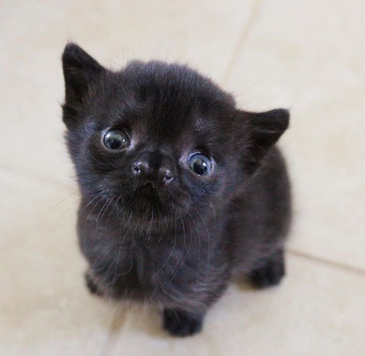 8b255459f992d91c4235873dc5