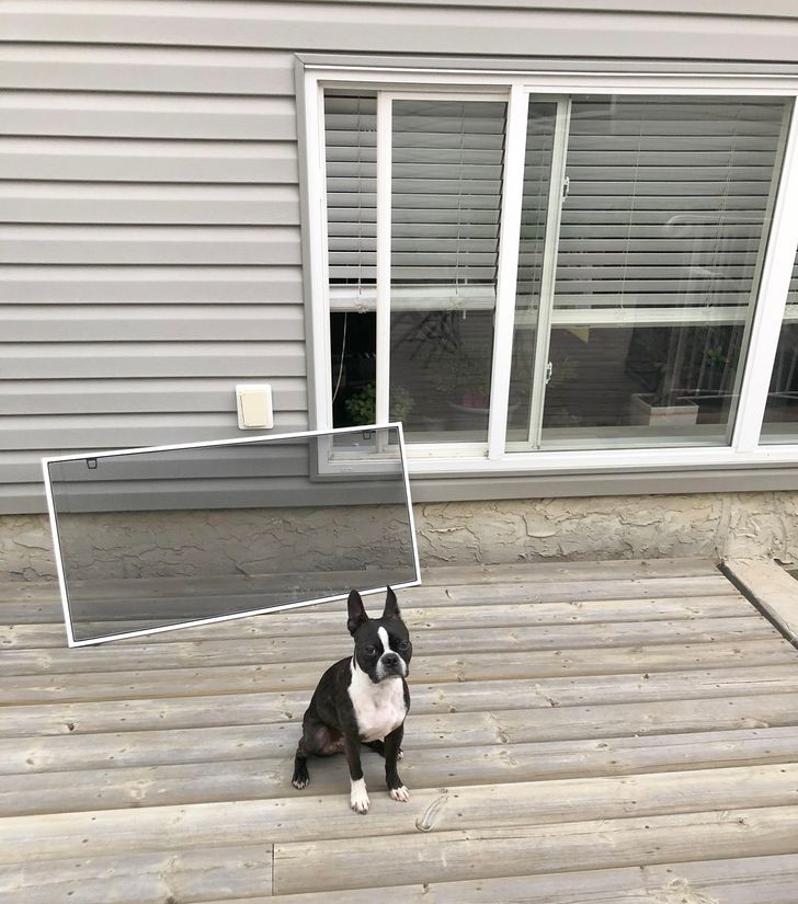 8b2822595f9e95dc4266a0204d